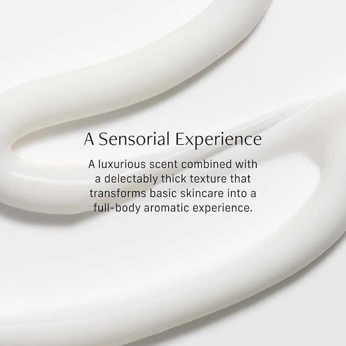 Nutrient Rich Body Cream. Vanilla Verve Nourishing Moisturizer with Niacinamide and Banana Flower Extract. Deep Hydration, Thick Body Lotion, Dry Skin Cream for Women and Men, 8 Fl Oz