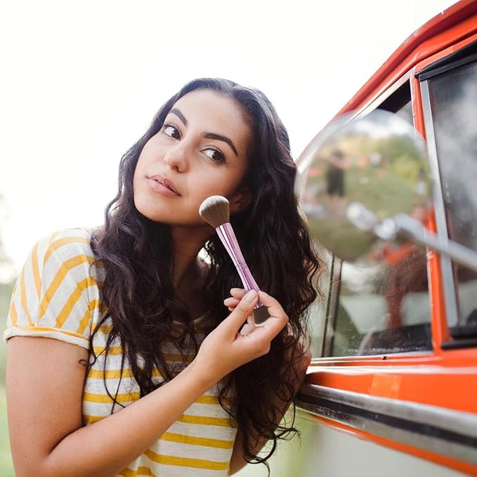 4 in 1 Makeup Brush Set, Travel Makeup Brushes with Case, Foundation Brush/Blush Brush, Eyeshadow Powder Brush,Concealer Brush (pink-plastic case)