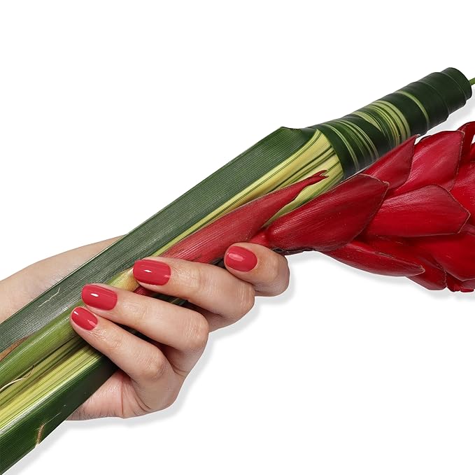 LONDONTOWN Blush Red Crème Nail Polish, Flushed Cheeks lakur, Vegan Chip-Resistant Long-Lasting Nail Lacquer, 40 fl oz (Pack of 2)