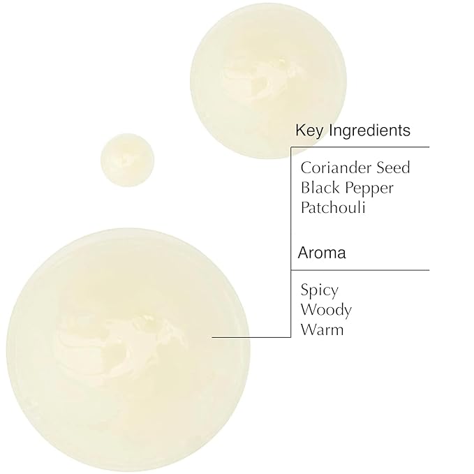 Aesop Coriander Seed Body Cleanser Refill | Refreshing & Invigorating | Spicy, Woody, Warm | 16.9 oz / 500mL