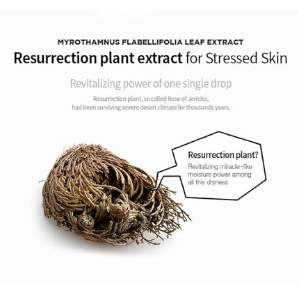 I'M SORRY FOR MY SKIN Jelly Face Mask Korean Skin Care, Hydrating & Calming after Sun Exposed, Self Care Items for Soothing and Sensitive Types, Gifts for Women, Pack of 10 (Cooling SOS Soothing Mask)