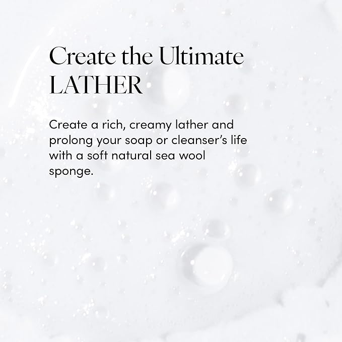 LATHER - Natural Sea Wool Sponge, 5-6" - Organic Exfoliating Body Scrubber - Soft, Gentle Cleansing - Hypoallergenic - All Skin Types - Florida Natural Loofah Sponge - Cruelty Free - Beauty & Skincare