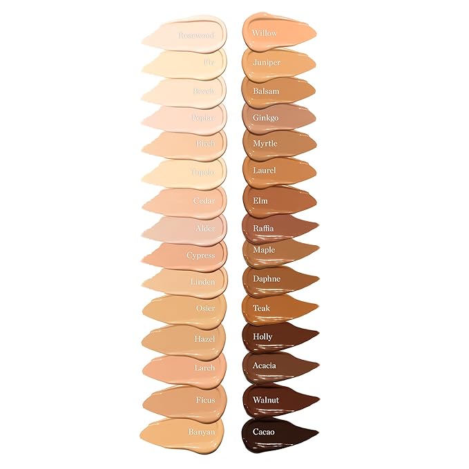 Ogee Complexion Perfecting Under Eye Concealer - Certified Organic Full Coverage Concealer - Buildable Coverage - FICUS 4.00N - Medium Deep (Warm Undertones)