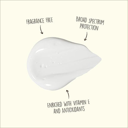 Sun Bum Original SPF 50 Sunscreen Face Lotion - Broad Spectrum Moisturizing Facial Sunscreen with Vitamin E -Fragrance Free - Travel Size - 3 oz