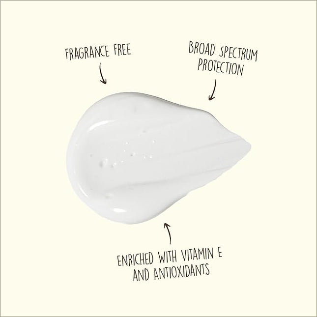 Sun Bum Original SPF 50 Sunscreen Face Lotion - Broad Spectrum Moisturizing Facial Sunscreen with Vitamin E -Fragrance Free - Travel Size - 3 oz