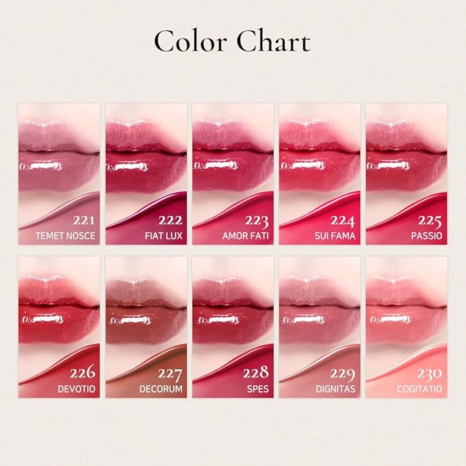 DINTO Blur-Glowy Lip Tint - Glossy Finish, Hydrating, Long Lasting, Lightweight Texture, Non-Sticky, Vegan & Cruelty-Free, K beauty (214 Venia, 0.11 fl.oz) (30 colors)