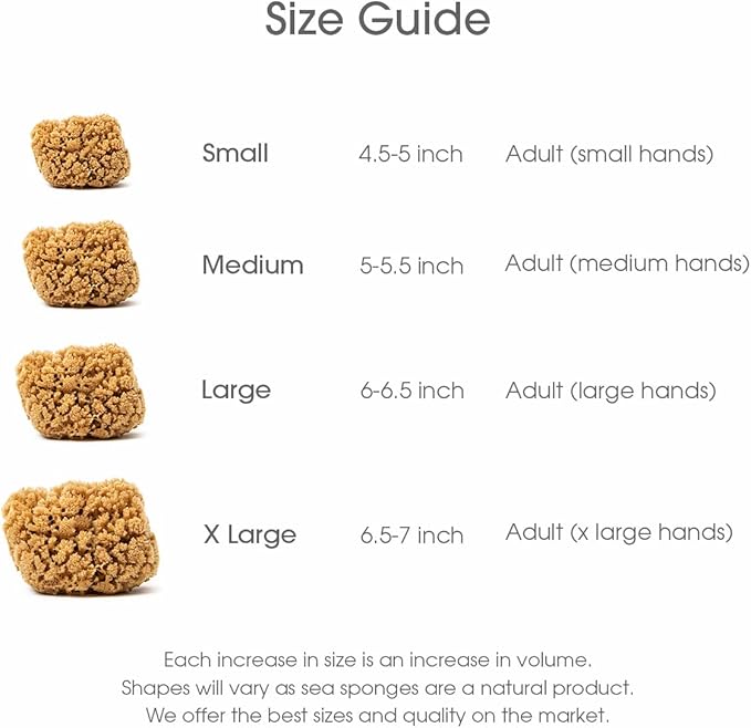 Naroa Massage Natural Shower Sponge Large | Unbleached Body Scrubber Puff | Bath Sea Loofah for Healthy Skin | Sustainable Plastic Free (L)