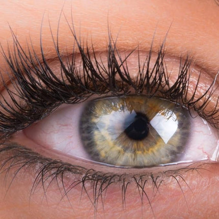 Organys Lash and Brow Serum for Appearance of Growth