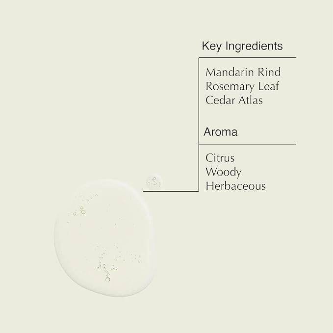 Aesop Resurrection Aromatique Hand Wash | Gentle Cleanser with Orange, Rosemary and Lavender Oils | 500mL / 16.9 oz (Pack of 3)