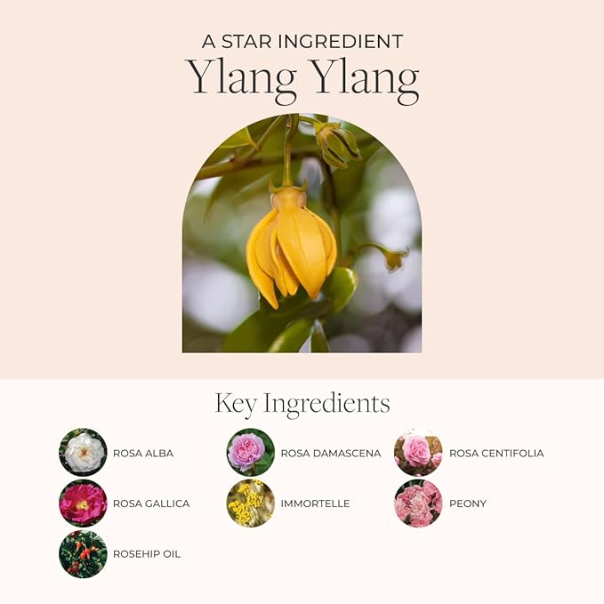 Fleurissent Harmony Elixir – Ylang Ylang 2-in-1 Facial Mask & Exfoliator, Fusion Florale-6 for Intense Hydration & Healthy-Looking Skin, 1.7 FL OZ – Luxurious Skincare Ritual