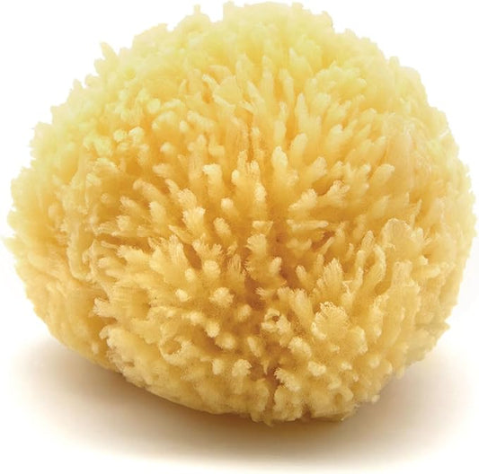 Neptune Caribbean Sea Sponge, Hand Cut, Small, Approx. 4-5 inches