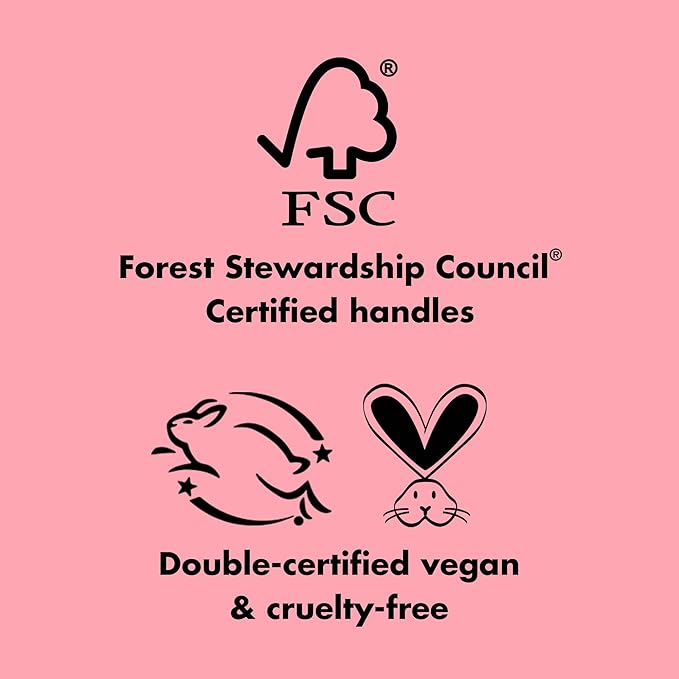 e.l.f. Complexion Essentials Brush & Sponge Set, Concealer, Powder, Blush & Highlighter Brushes & Total Face Sponge, Vegan & Cruelty-Free