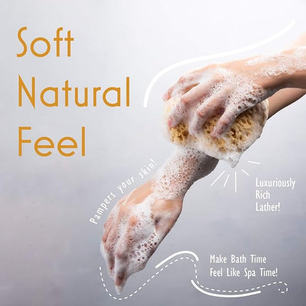 myHomeBody Bath Sponge, Foam Loofah, Body Scrubber for Bathing, Exfoliating Shower Pouf for Shower – Large Size, Lots of Lather, Curvy, 2 Pack