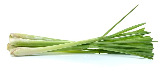 US Organic 100% Pure Lemongrass Essential Oil, USDA Certified Organic, Undiluted, Therapeutic Grade, Steam Distilled, for Aromatherapy, Freshening, and DIY Personal Care (10ml, Pack of 2)