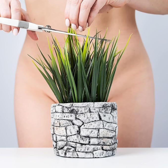 Coochy Shave Cream - Moisturizing Shave Lotion - Gentle Intimate Shaving Cream - For Bikini Area, Underarms, Legs & More - Rash-Free, Hydrating Formula - Key Lime Pie, 3.4 oz