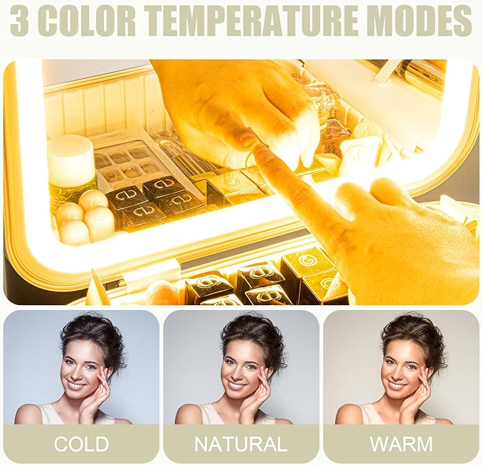 Travel Makeup Train Case With LED Lights, 3 Brightness Adjustable Portable Makeup Organizer, Professional Adjustable Divider Storage Waterproof Makeup Train Case Accessories and Toolboxes