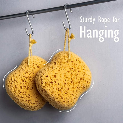 myHomeBody Bath Sponge, Foam Loofah, Body Scrubber for Bathing, Exfoliating Shower Pouf for Shower – Large Size, Lots of Lather, Curvy, 2 Pack