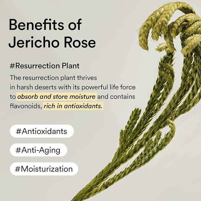 Abib Collagen Eye Crème Jericho Rose Tube for Dark Circles and Puffiness, Under Eye Fine Lines