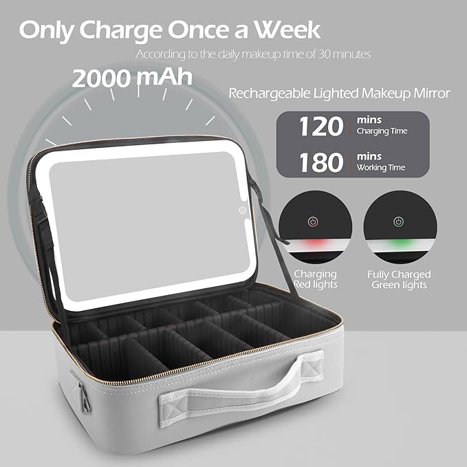 MOMIRA Large Makeup Train Case with Lighted and Mirror 14inch Partitionable Cosmetic Bag Travel Makeup Case Professional Cosmetic Artist Organizer, Waterproof Portable, with Shoulder Stra Silver