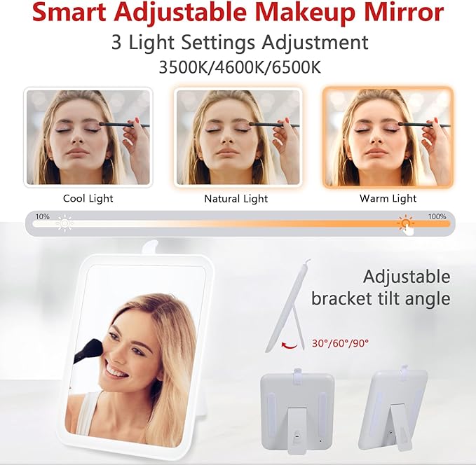 Travel Makeup Bag with Mirror of LED Lighted, Rechargeable Cosmetic Train Case Artist Makeup Organizer for Women with Adjustable Dividers, Makeup Brushes Holder and Strap (CosMirr-Black02)