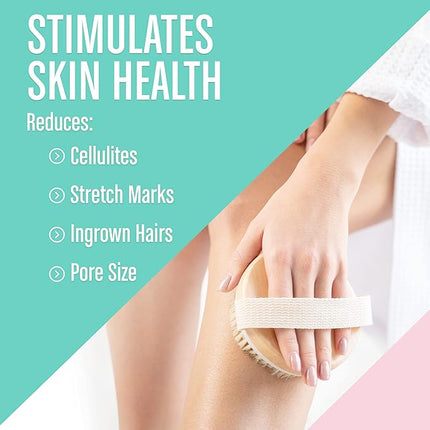 Dry Body Brush (1 Pack) - Reduce Cellulite, Dry Brush for Cellulite and Lymphatic Drainage, Exfoliating Brush with Soft Massage Nodules, Shower Brush Body Scrubber (100% Natural Bristle Brush)