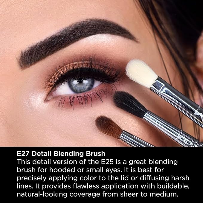 Sigma Beauty Professional E27 Detail Eyeshadow Blending Brush – Eyeshadow Application and Blending Brush - Apply Pigment and Blend Harsh Lines for a Well Blended Effect (1 Brush)