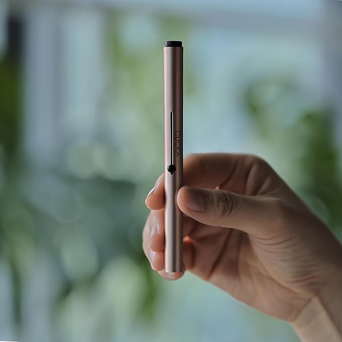 Retractable Automatic Lid Smuge Brush (Champagne Gold)