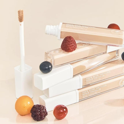 HEVEBLUE Penta Berry Panthenol Repair Concealer 22-23 BEIGE - Lightweight, Full Coverage Dark Circles, Acne&Blemishes, Vegan, Sensitive Skin, Korean Makeup, Non-clogging Pores
