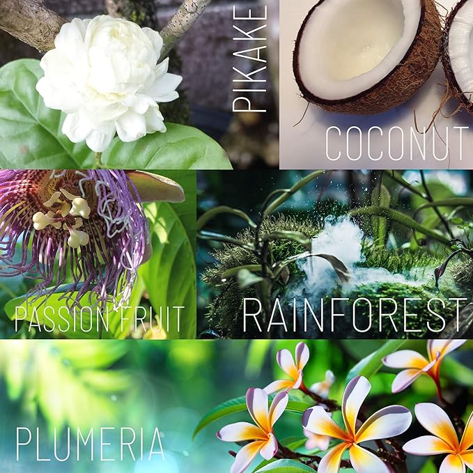 OLA Passion Fruit Body Butter – Moisturizing with Pure Coconut Oil and Hawaiian Plant Extracts - Ideal for Dry Skin - 2.1oz