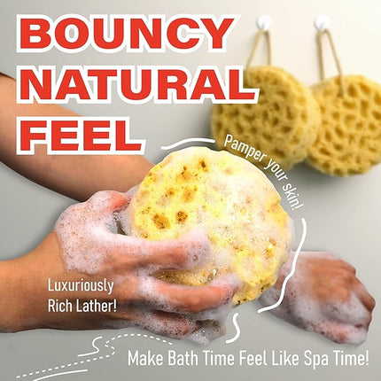 myHomeBody Bath Sponge, Foam Loofah, Body Scrubber for Bathing, Exfoliating Shower Pouf for Shower - Large Size, Lots of Lather, Round, 3 Pack