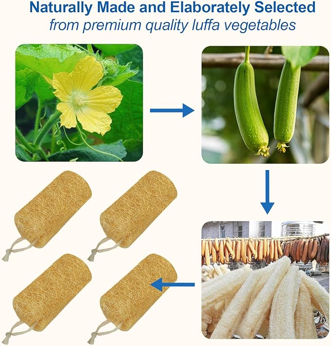 Natural Loofah Sponge (4 Packs), 6“ Natural Loofah Exfoliating Body Scrubber Egyptian Loofa Eco 100% All Natural luffa Cleaning for Men Women Deep Clean Skin