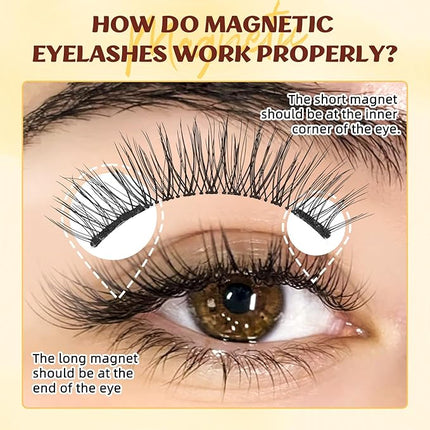 QUEWEL Magnetic-Eyelashes with Applicator, Portable Magnetic Eyelashes Natural Look, Upgrade 2 Magnet False Eyelashes More Easy to Wear, Easy to Use and Remove (Magnetics NZH-E)