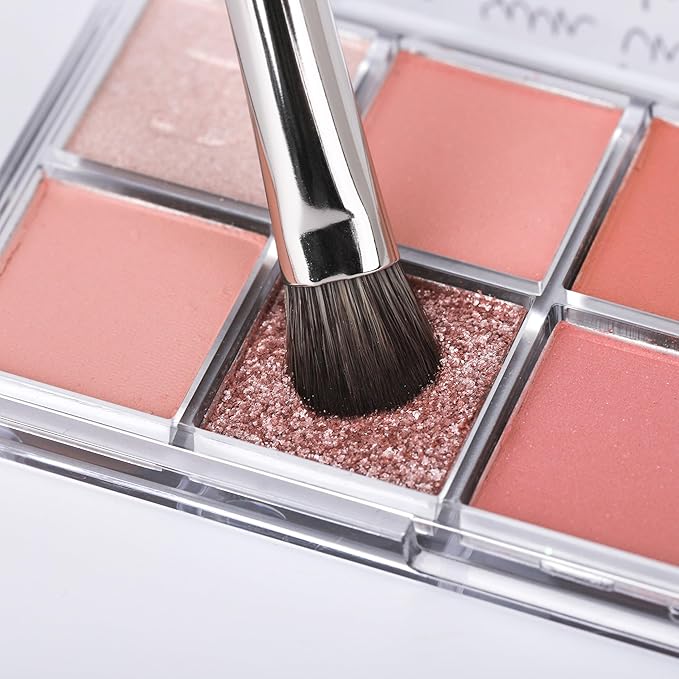 BRUSH ARTIST 12 PCs Premium Synthetic Black Silver Makeup Brush Set With Foundation Sponge, Face Powder Brush, Contour Brush, Blush Brush, Eyeshadow Brush, Eyebrow Brush, Concealer Brush