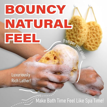myHomeBody Bath Sponge, Foam Loofah, Body Scrubber for Bathing, Exfoliating Shower Pouf for Shower – Large Size, Lots of Lather, Oval, 2 Pack
