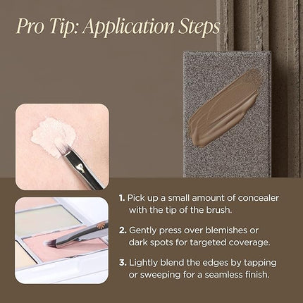 Piccasso Brush Concealer (Spot Point)