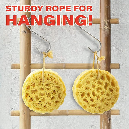 myHomeBody Bath Sponge, Foam Loofah, Body Scrubber for Bathing, Exfoliating Shower Pouf for Shower – Large Size, Lots of Lather, Round, 2 Pack