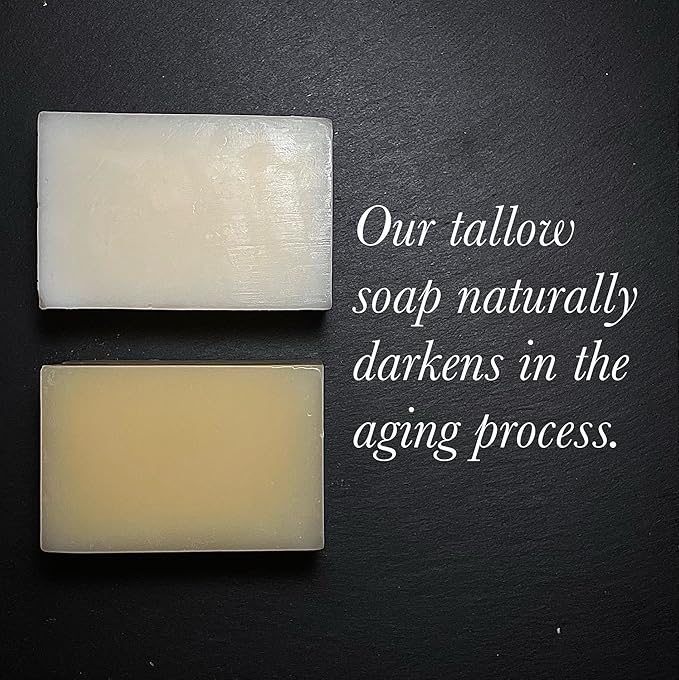 BUFF BAR Bison Tallow Buff Soap Bar, Unscented, (6 pack) - Cleans, Moisturizing, Non-Habit Forming, Soothes, and Naturally Derived - No Dyes, Chemicals, Fragrances, Preservatives