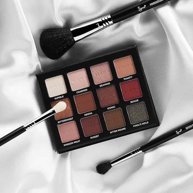 Sigma Beauty Professional E40 Tapered Blending Eye Makeup Brush with SigmaTech fibers Blending eyeshadow Brush