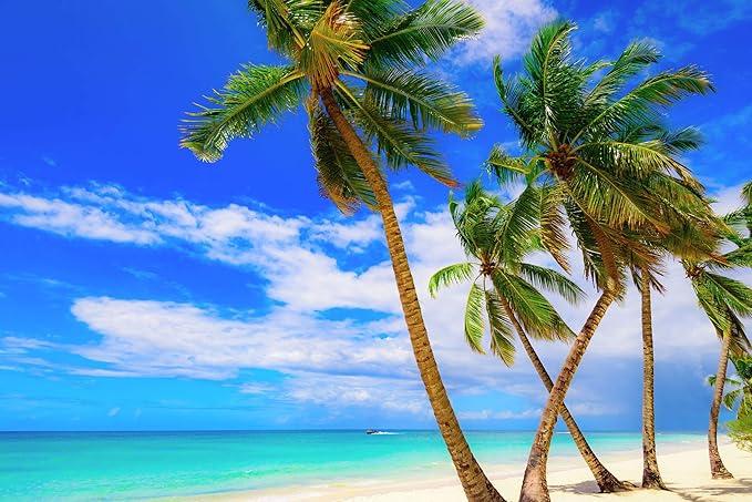 US Organic Fractionated Coconut Oil Bulk Pack, USDA Certified Organic, Non-GMO, Perfect for massage, carrier oil for DIY blends, Hair, Skin care. 100% Pure, Hexane-Free (128 oz (1 Gallon))