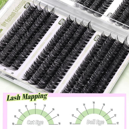 D-Curly Cluster Eyelash Extensions 480Pcs Volume Lash Extensions DIY Eyelash Extensions for Beginners Wispy Eyelash Clusters Natural Full Thick Individual Lashes Clusters (60D 80D 100D Mixed, 10-16MM)