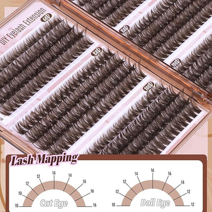 Brown Lash Extensions D-Curly Eyelash Extensions 480Pcs Volume Lash Clusters Dark Brown Cluster Eyelash Extensions Wispy Clusters Individual Lashes Thick Cluster Lashes (60D 80D 100D Mixed, 10-16MM)